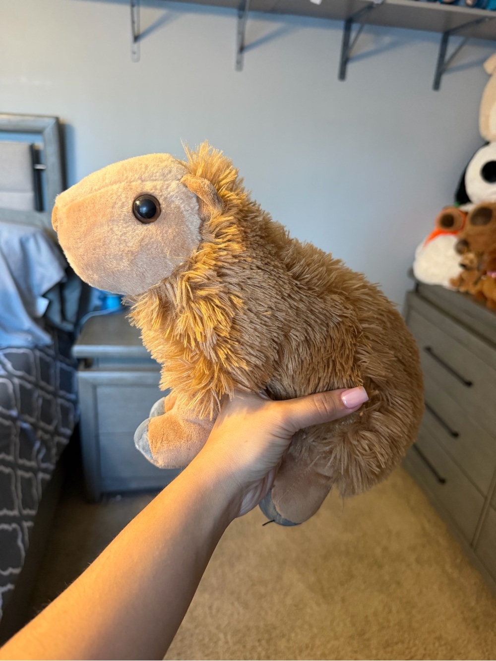 Wild Republic Capybara